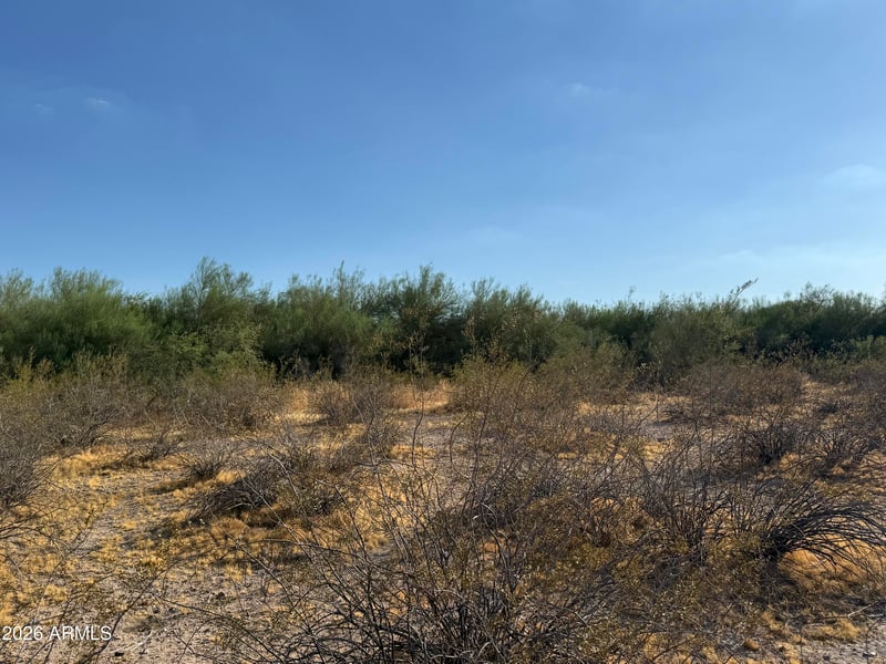 0 W Lone Cactus Dr #'_', Surprise, AZ 85387