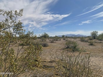 Pampas Grass Rd #1, Maricopa, AZ 85139