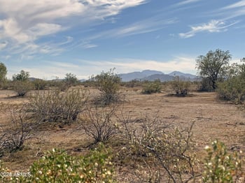 Pampas Grass Rd #1, Maricopa, AZ 85139