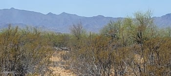 0 W Revels Rd #3, Goodyear, AZ 85338