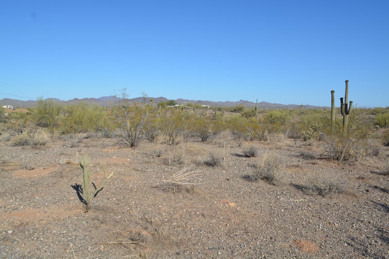 0 W Rolling Rock Dr #-, Morristown, AZ 85342
