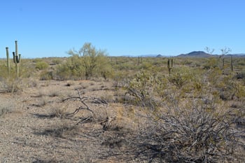 0 W Rolling Rock Dr #-, Morristown, AZ 85342