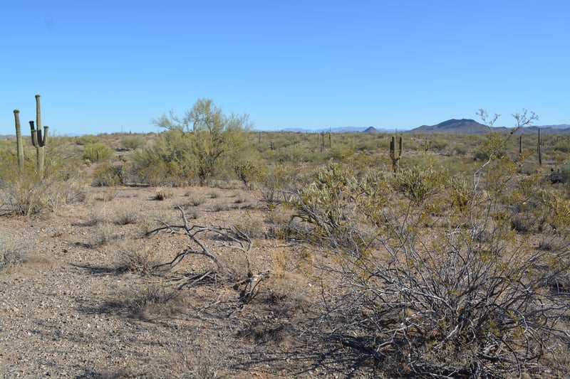0 W Rolling Rock Dr #-, Morristown, AZ 85342