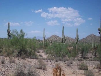 0 W Silverdale Rd #6T, Queen Creek, AZ 85144