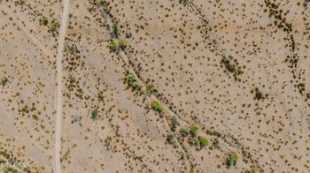 White Wing Rd #29 Rd #29, Maricopa, AZ 85139