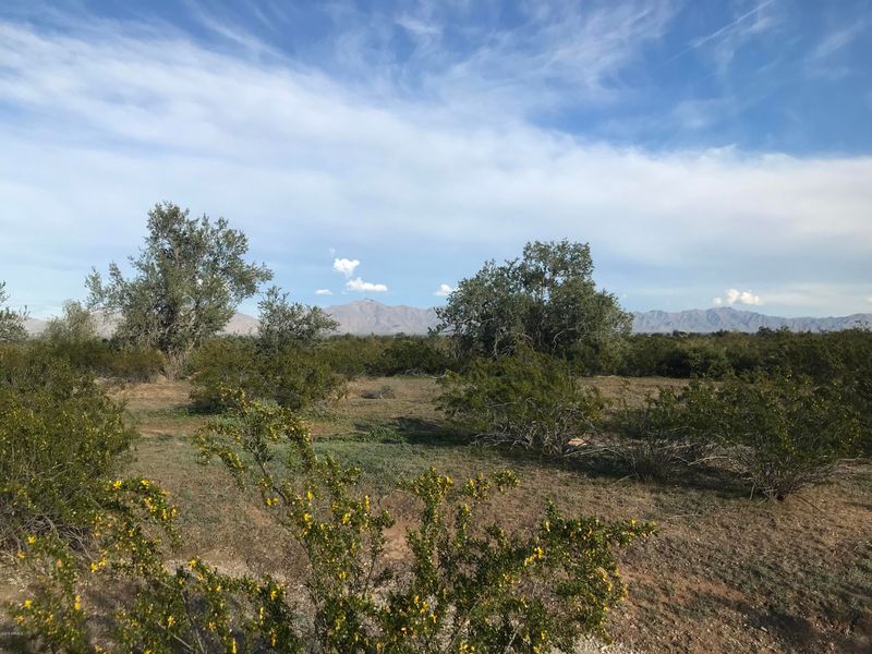 00 193 Ave Riggs Rd #-, Buckeye, AZ 85326