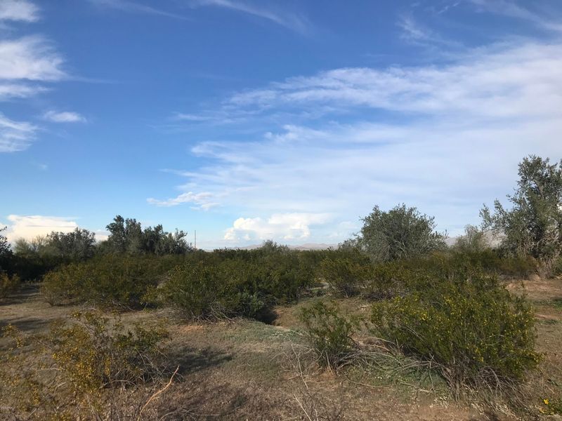 00 193 Ave Riggs Rd #-, Buckeye, AZ 85326