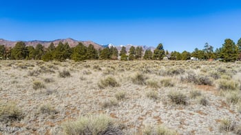 00 Burris Ln #-, Flagstaff, AZ 86004