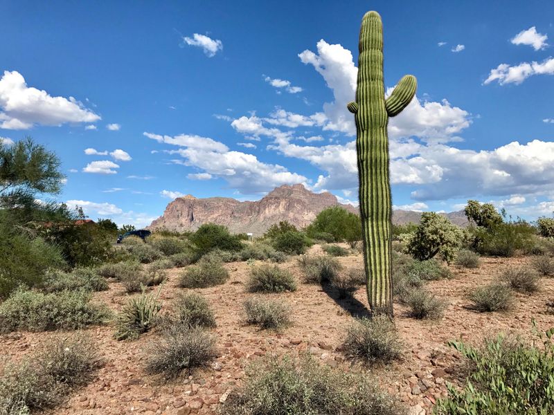 00 N Hilton Rd #-, Apache Junction, AZ 85119