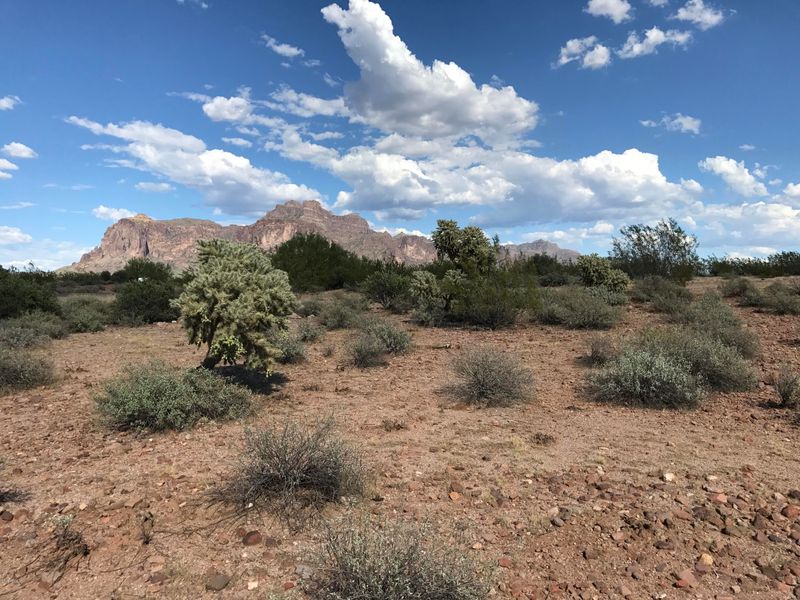 00 N Hilton Rd #-, Apache Junction, AZ 85119