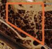 00 W Salome -- #-, Tonopah, AZ 85354