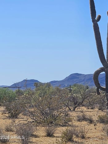 000 251st -- #D, Morristown, AZ 85342