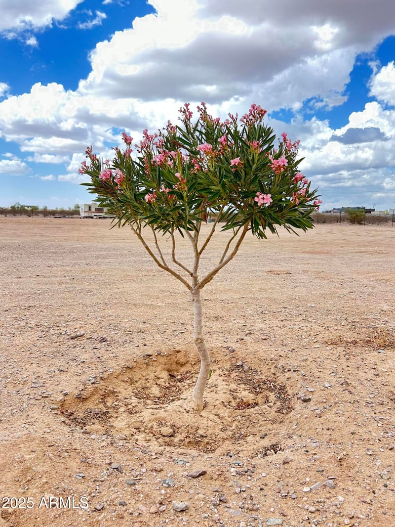 000 355th Ave #1, Tonopah, AZ 85354