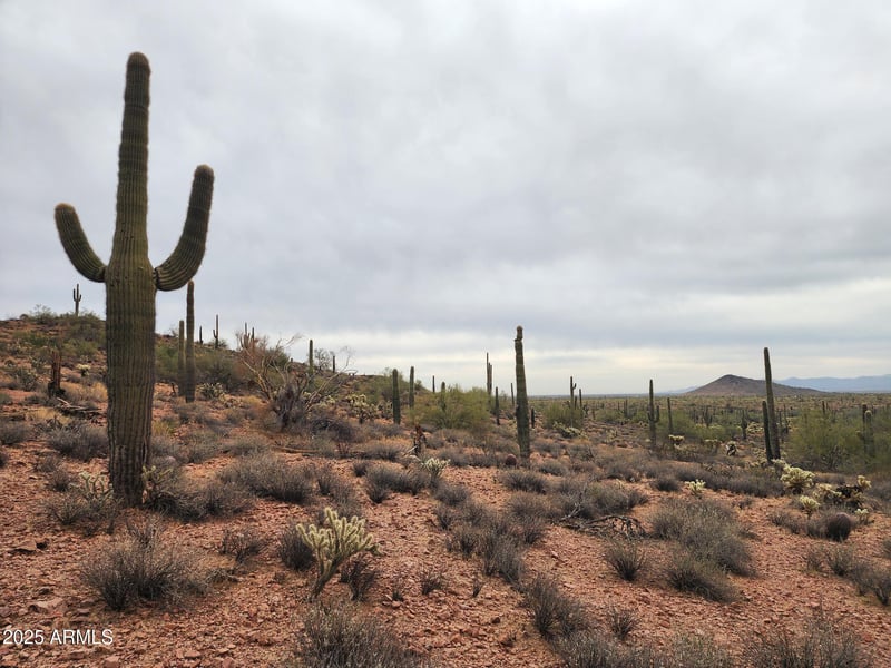 000 Black Mountain Rd #94, Wittmann, AZ 85361