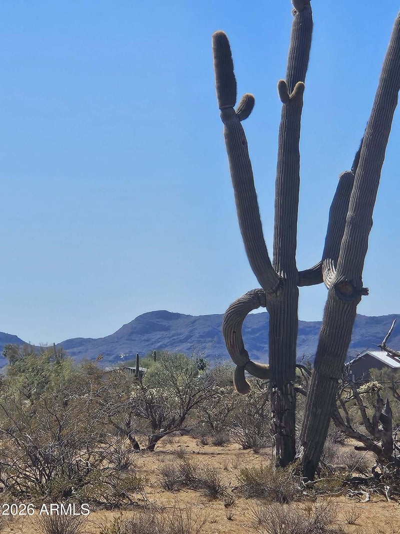 000 N 251st -- #D, Morristown, AZ 85342