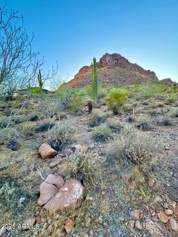 0000 Bear Paw Ps #-, Queen Creek, AZ 85142