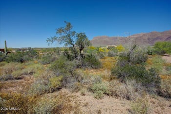 0000 Edgemore Rd #3, Gold Canyon, AZ 85118