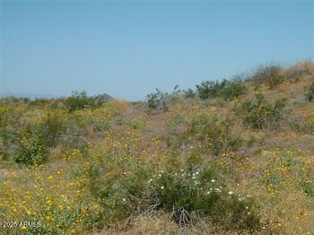 0000 El Camino Del Sol -- #-, Dateland, AZ 85333