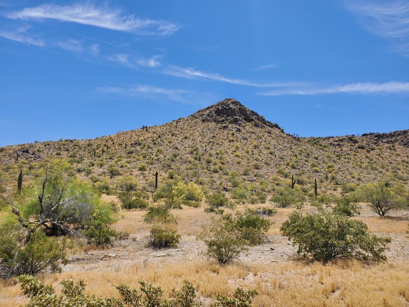 0000 S 190th Ave #1, Buckeye, AZ 85326