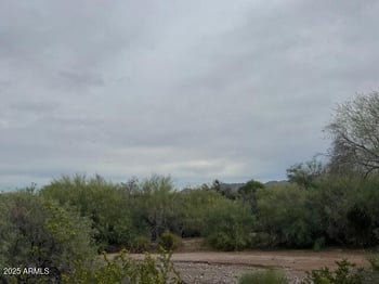 0000 Vekol -- #00, Gila Bend, AZ 85337