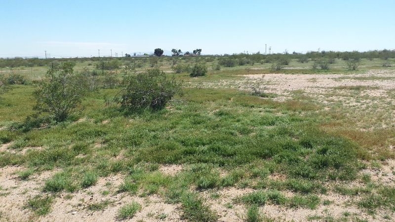 0000 W Pinnacle Peak Rd #-, Surprise, AZ 85387