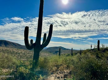 00000 Burro Pass Rd #76, Morristown, AZ 85342