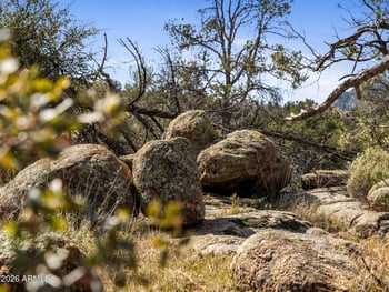 00000 Drifter Trl #102, Kirkland, AZ 86332