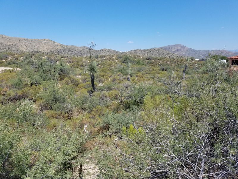 00000 E Manana Rd #101, Cave Creek, AZ 85331