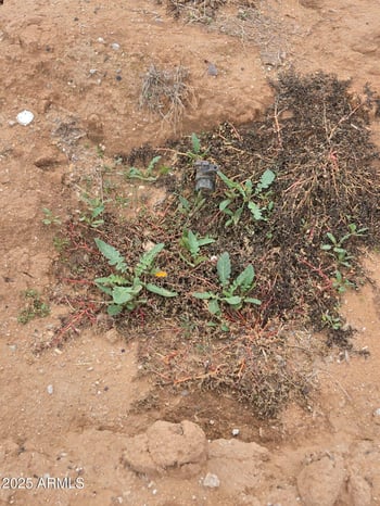 00000 Elliot Rd #-, Buckeye, AZ 85326