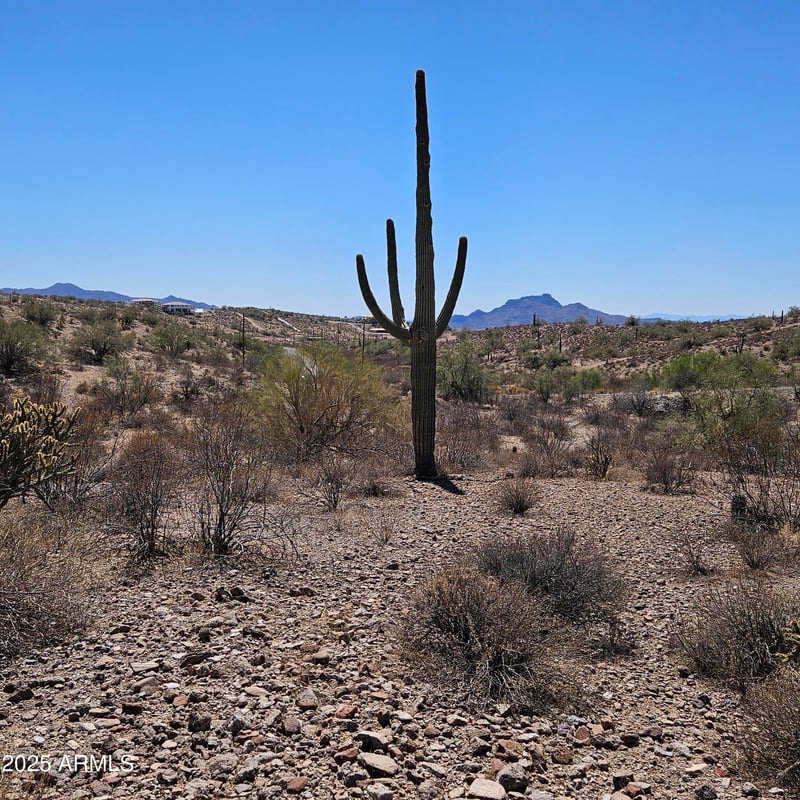 00000 Sandy Bluff Rd #15, Fort Mcdowell, AZ 85264