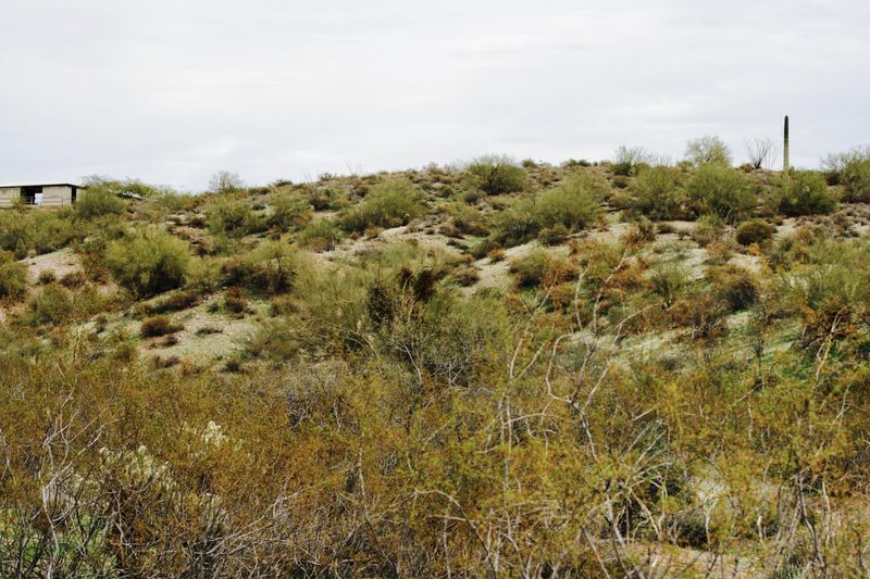 00000 N White Face Canyon Dr #7, Fort Mcdowell, AZ 85264