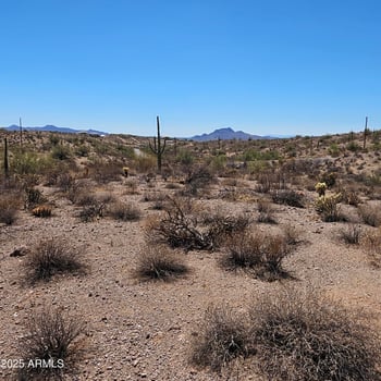 00000 Sandy Bluff Rd #15, Fort Mcdowell, AZ 85264