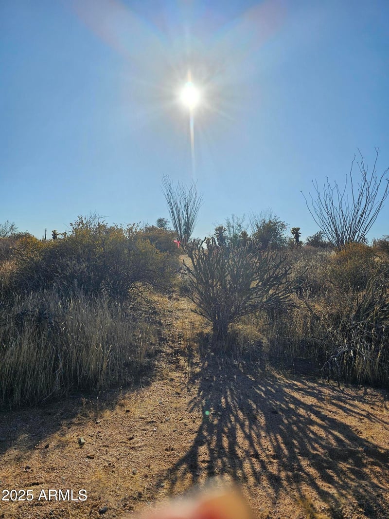 0001 174th St #-, Scottsdale, AZ 85262