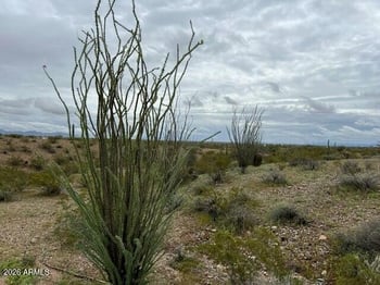 0003 Highland Ave #-, Tonopah, AZ 85354