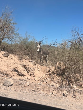000X Gods View Dr #57, Morristown, AZ 85342