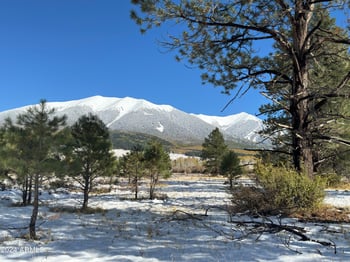 002 Hart Prairie Rd -- #-, Flagstaff, AZ 86001