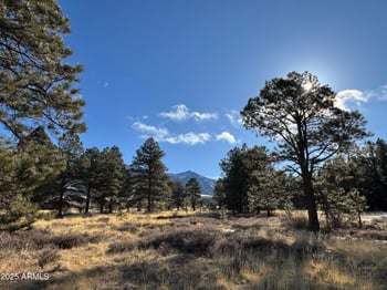 003 Hart Prairie Rd -- #-, Flagstaff, AZ 86001