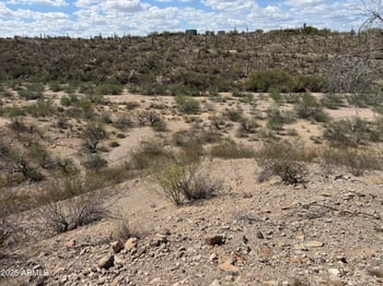 00XX Via Tortuga Dr #7, Wickenburg, AZ 85390