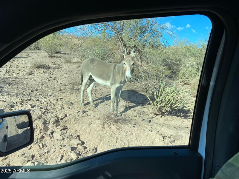 00XXX Cow Creek Rd/rebel Pass Rd #C, Morristown, AZ 85342