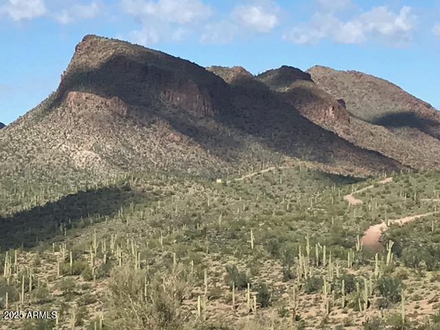 00XXX Lake Pleasant / Lake View Dr #-, Morristown, AZ 85342