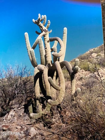 00XXX Lake Pleasant/columbia Rd #65, Morristown, AZ 85342