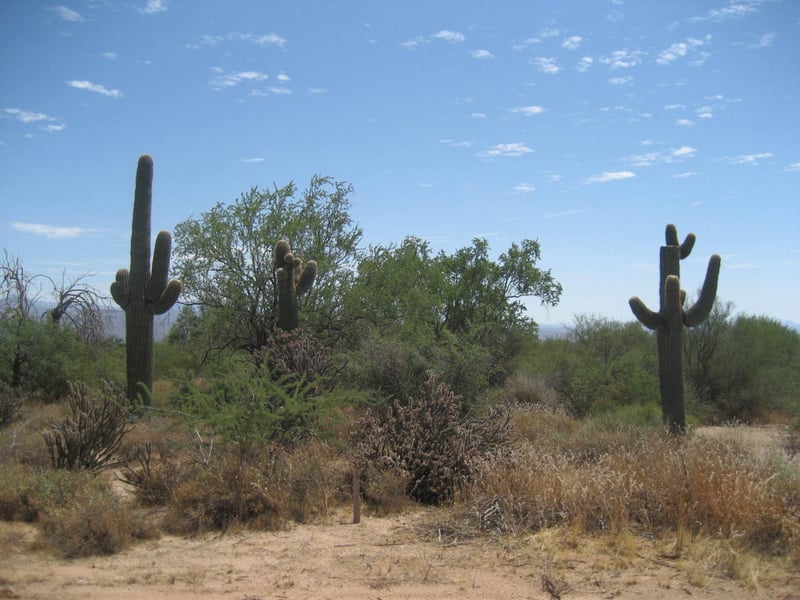 0274xx 162nd St #metes and bounds, Scottsdale, AZ 85262