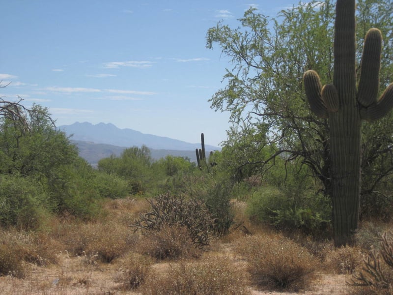 0274xx 162nd St #metes and bounds, Scottsdale, AZ 85262