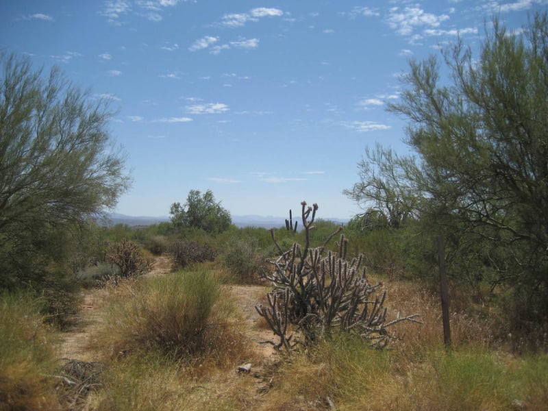 0274xx 162nd St #metes and bounds, Scottsdale, AZ 85262