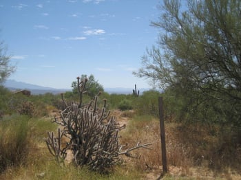 0274xx 162nd St #metes and bounds, Scottsdale, AZ 85262