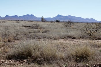 1.38 Acres San Louis Rey Dr #305, Douglas, AZ 85607