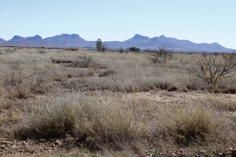 1.38 Acres San Louis Rey Dr #305, Douglas, AZ 85607