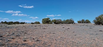10.15 AC Unnamed Rd, Sanders, AZ 86512