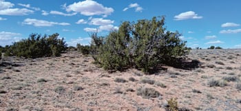 10.15 AC Unnamed Rd, Sanders, AZ 86512