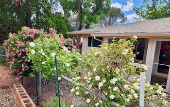 100 Bell Rock Dr, Sedona, AZ 86336